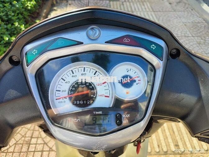 Bán xe shark biển đẹp phong thủy