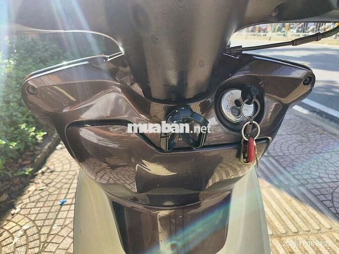 Bán xe shark biển đẹp phong thủy