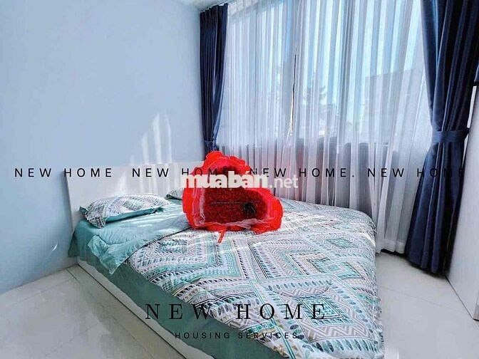 CHO THUÊ CĂN STUDIO CỬA SỔ LỚN - GẦN CHÙA PHÁP HOA - GIÁ TỐT T11/2025