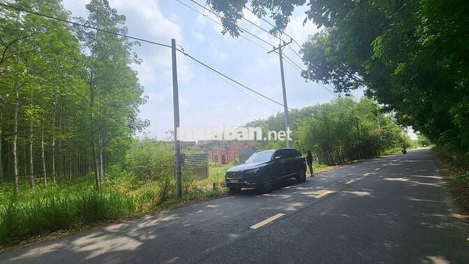 2 Mặt tiền BÙI THỊ ĐIỆT (ngay sát bên đường dẫn Vành đai 4)