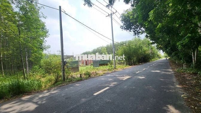 2 Mặt tiền BÙI THỊ ĐIỆT (ngay sát bên đường dẫn Vành đai 4)