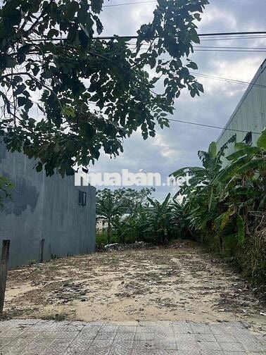 Đất sạch đẹp khu tái định cư Đà Sơn, Hoà Khánh Nam, Đà Nẵng, Vị trí đẹ