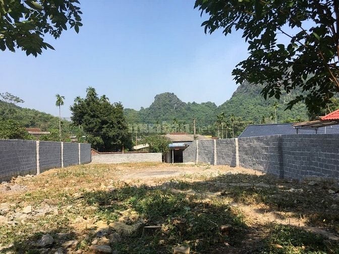 Đất mặt đường liên xã Tiên Hội