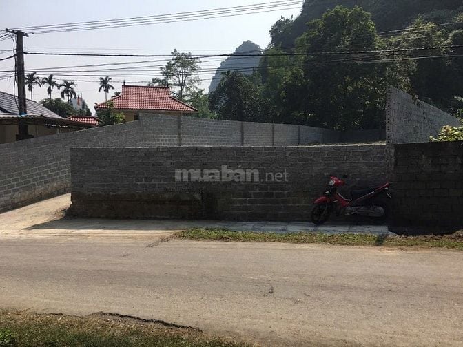 Đất mặt đường liên xã Tiên Hội