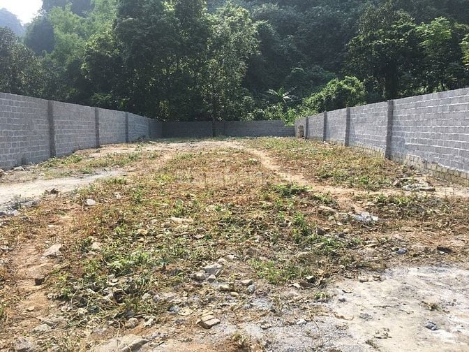 Đất mặt đường liên xã Tiên Hội