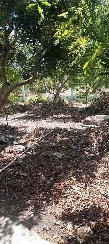 Bán 3.127m2 đất có nhà MT đường tỉnh 862, ngay biển Tân Thành, Gò Công