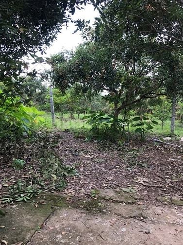 Bán 3.127m2 đất có nhà MT đường tỉnh 862, ngay biển Tân Thành, Gò Công