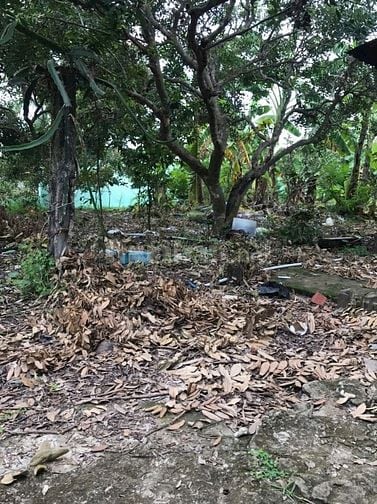 Bán 3.127m2 đất có nhà MT đường tỉnh 862, ngay biển Tân Thành, Gò Công