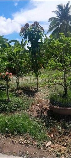 Bán 3.127m2 đất có nhà MT đường tỉnh 862, ngay biển Tân Thành, Gò Công