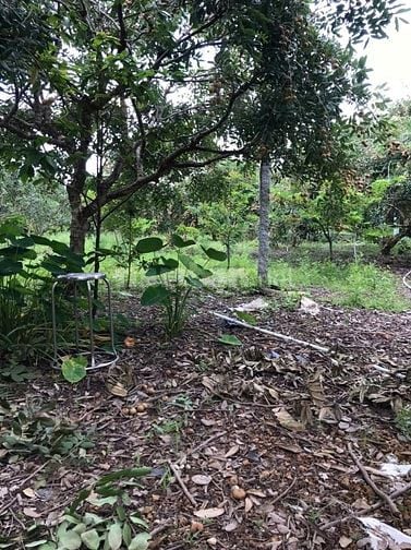 Bán 3.127m2 đất có nhà MT đường tỉnh 862, ngay biển Tân Thành, Gò Công