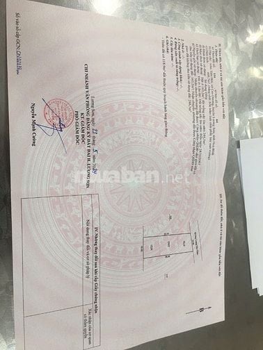 Đất mặt đường liên xã Tiên Hội