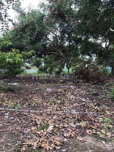 Bán 3.127m2 đất có nhà MT đường tỉnh 862, ngay biển Tân Thành, Gò Công