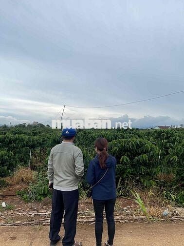 TÂN HỘI GẦN CHỢ GIÁ RẺ BẤT NGỜ