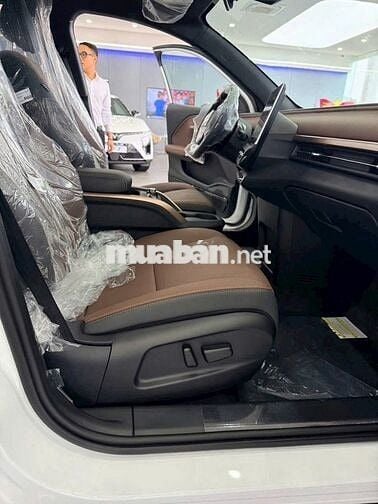 Vinfast VF6 Plus US Limited Trắng Mới 100%