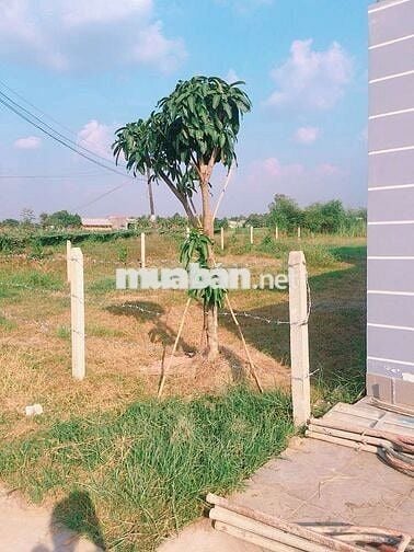 Bán đất sát QLN2 đức hòa 385m2 chính chủ thổ cư