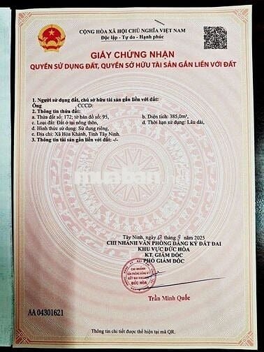 Bán đất sát QLN2 đức hòa 385m2 chính chủ thổ cư