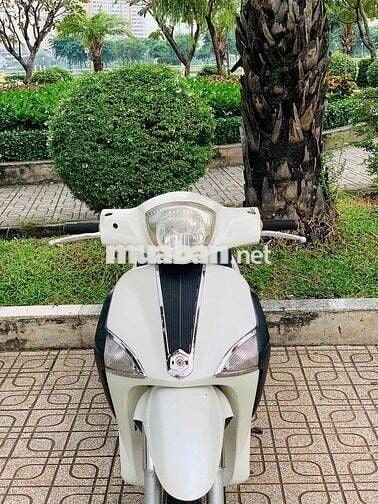 piaggio liberty Fi biển tp