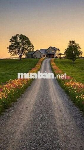 Anh cho thuê cc mặt tiền đường PVĐ