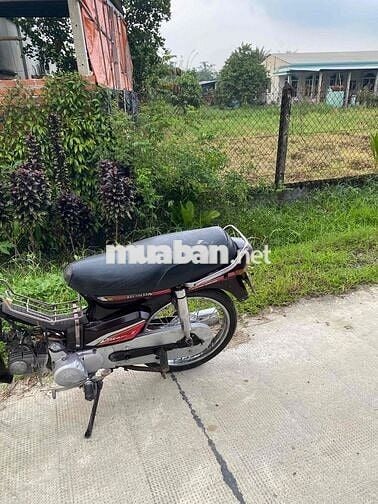 dream giấy tờ hợp lệ máy móc khô ráo mạnh im ru