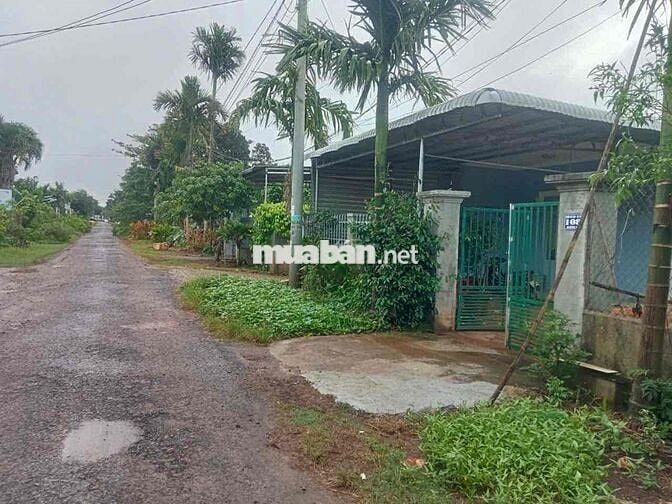 mặt tiền nhựa D3 Tân An cách ql26 chỉ 300m tiềm năng tăng giá cao