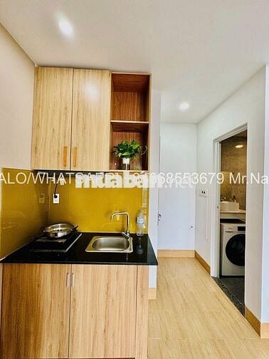 🌞CĂN HỘ STUDIO MỚI Ở SƠN TRÀ CHO NUÔI MÈO