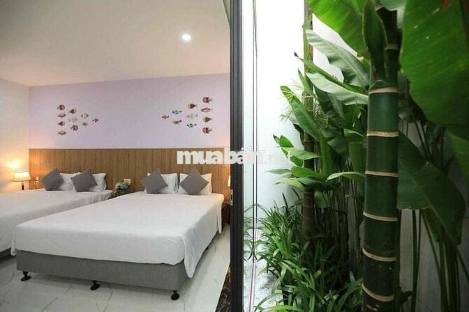 CHO THUÊ VILLA SÂN VƯỜN MỚI 100% GẦN BIỂN PHAMH VĂN ĐỒNG