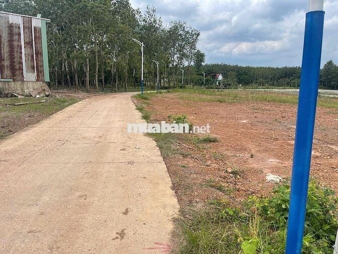 🔥 BÁN ĐẤT NỀN THỔ CƯ – SỔ SẴN – CHƠN THÀNH, BÌNH PHƯỚC 🔥