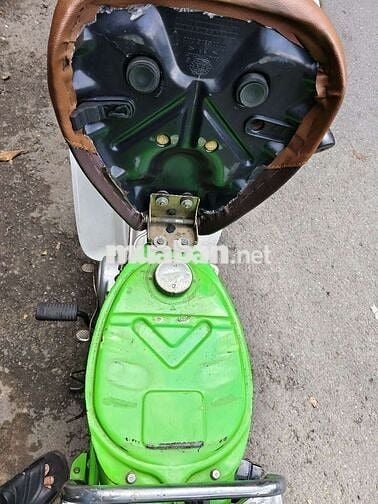 Xe học sinh cub 81-50cc bstp giấy tờ đầyđủ máyngon