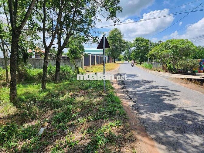 Bán 4.000m đất lúa LUK có 500 thổ cư, gần nút giao cao tốc Mộc Bài