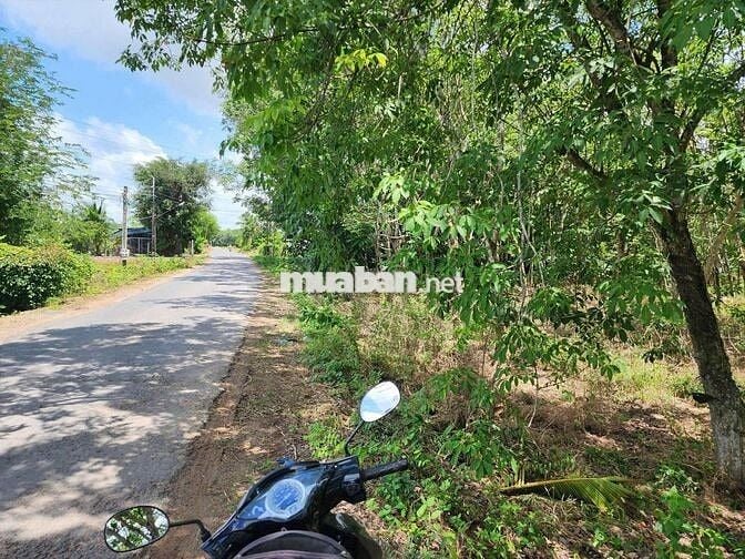 Bán 4.000m đất lúa LUK có 500 thổ cư, gần nút giao cao tốc Mộc Bài