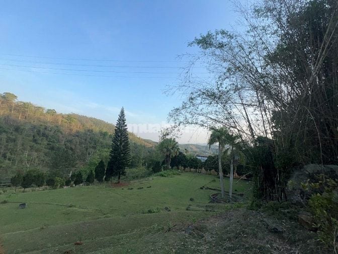 Chính chủ bán ĐẤT NGHỈ DƯỠNG – THIÊN NHIÊN ÔM TRỌN, SUỐI