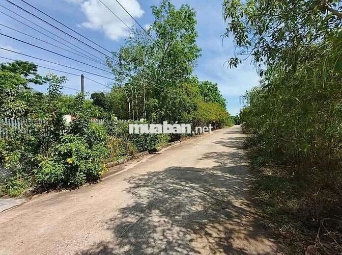 Bán nhà và vườn cây ăn trái  giá rẻ