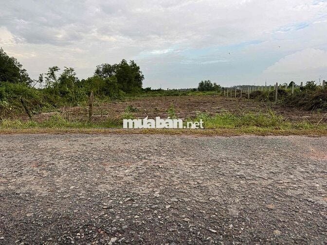 HIẾM CÓ 12x78MÉT NGAY KCN PHƯỚC ĐÔNG H.GÒ DẦU ĐỂ ĐẦU TƯ KINH DOANH