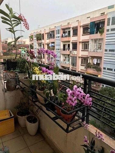 Bán CC Tây Thạnh 1PN 1WC Giá 1ty9 TL Sổ Lâu Dài