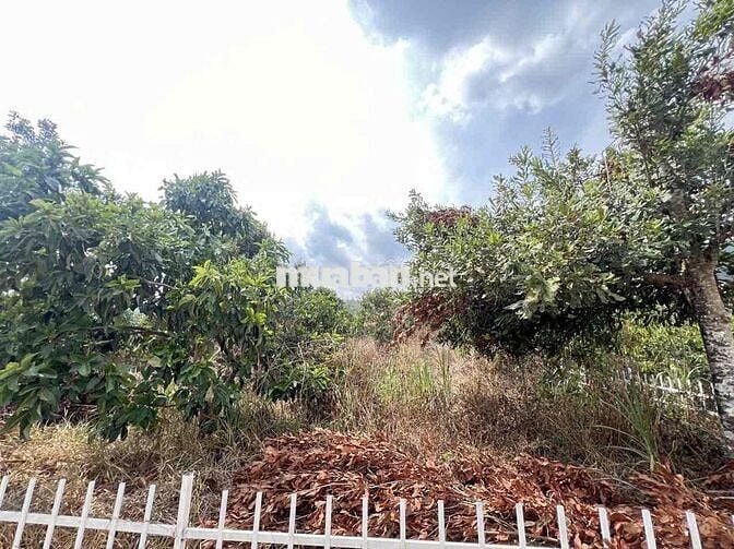 Thanh lý lô đất 540m2 có thổ cư tại Đông Thanh, Lâm Hà, Lâm Đồng