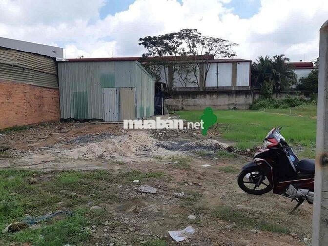 📢 ĐẤT CHO THUÊ 20x50 - NGUYỄN VĂN BỨA – XUÂN THỚI SƠN, HÓC MÔN