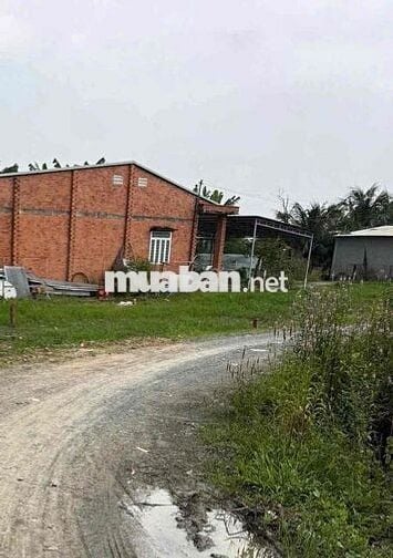 ĐẤT THỔ CƯ 5x28MÉT NGAY KHU DÂN CƯ ĐÔNG ĐÚC X.PHƯỚC THẠNH H.GÒ DẦU