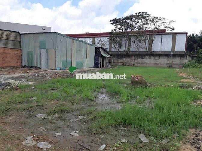 📢 ĐẤT CHO THUÊ 20x50 - NGUYỄN VĂN BỨA – XUÂN THỚI SƠN, HÓC MÔN