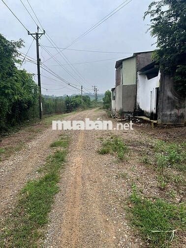 Đất 2mt đg tđ7 hắc dịch phú mỹ, tặng  nhà cấp 4 ,dt:7.6x22 giá 1.65ty