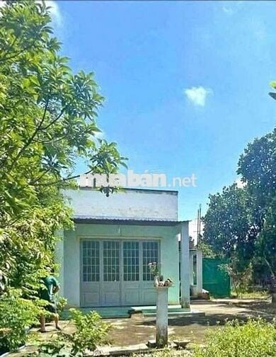 Bán nhà và vườn cây ăn trái  giá rẻ
