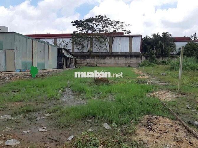 📢 ĐẤT CHO THUÊ 20x50 - NGUYỄN VĂN BỨA – XUÂN THỚI SƠN, HÓC MÔN