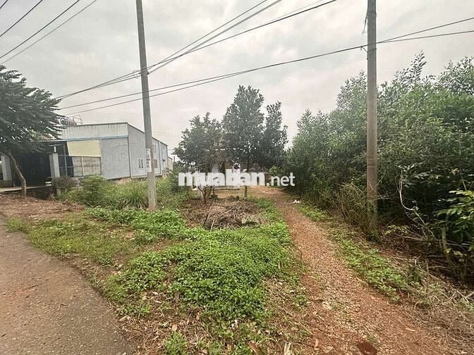 Đất 2mt đg tđ7 hắc dịch phú mỹ, tặng  nhà cấp 4 ,dt:7.6x22 giá 1.65ty