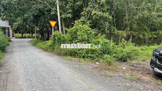 ĐẤT THỔ CƯ 5x28MÉT NGAY KHU DÂN CƯ ĐÔNG ĐÚC X.PHƯỚC THẠNH H.GÒ DẦU