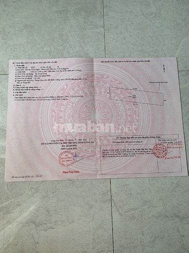 Đất thổ cư chính chủ cần bán TP Tân An