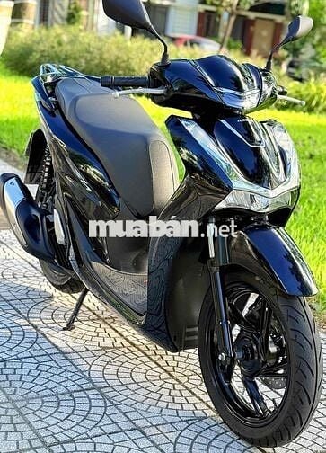 Sh 125 2024 biển 43. áo dán keo nguyên con