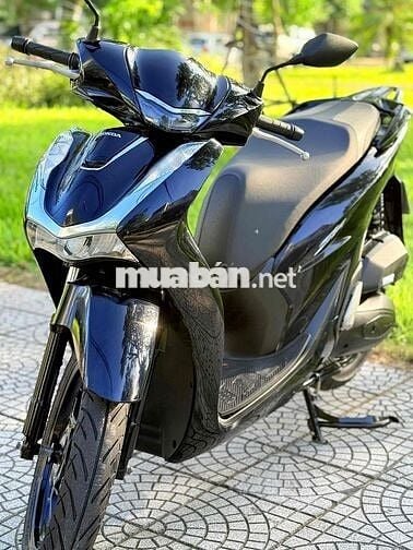 Sh 125 2024 biển 43. áo dán keo nguyên con