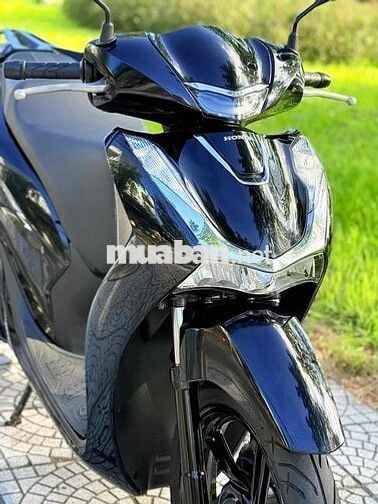 Sh 125 2024 biển 43. áo dán keo nguyên con