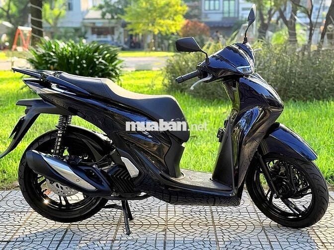 Sh 125 2024 biển 43. áo dán keo nguyên con