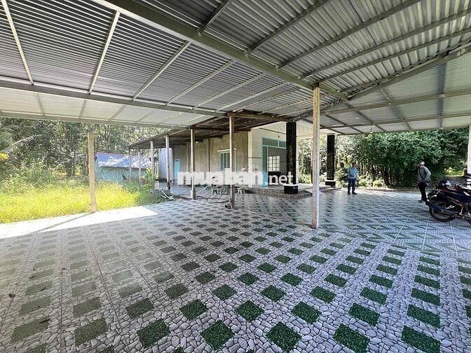 Nhà tại Phước Thạnh- Hiệp Thạnh DT: 27x19.5