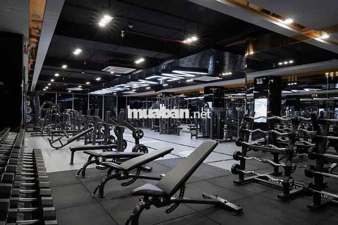 CHO THUÊ OFFICE NHÀ MỚI, MẶT TIỀN TRẦN BÌNH TRỌNG – QUẬN 5 NGANG 8M